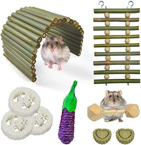 צעצועי לחיכת חזיר של גינאה של אוגר, צעצועי עכברים גרביל של אוגר עכברוש עם סולם טיפוס ומחבוא, אביזרי אימונים של אוגר עבור אוגרי גמדים סורים