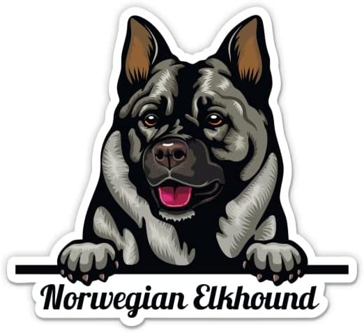 מדבקות כלבים של אלקהונד נורווגי - 2 חבילות של מדבקות 3 אינץ ' - ויניל אטום למים לרכב, טלפון, בקבוק מים, מחשב נייד - מדבקות אלקהאונד נורווגיות